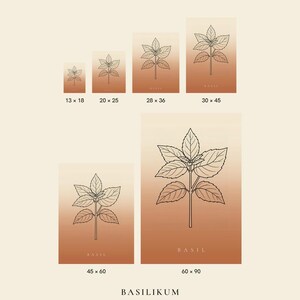 Basilikabild direktnedladdning, Japandi-affisch, botanisk linjekonst, terrakottakonsttryck, digital väggkonst bild 3