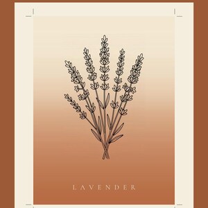 Lavendelafbeelding direct te downloaden, Japandi poster, botanische lijntekening, terracotta kunstprint, digitale muurdecoratie afbeelding 1