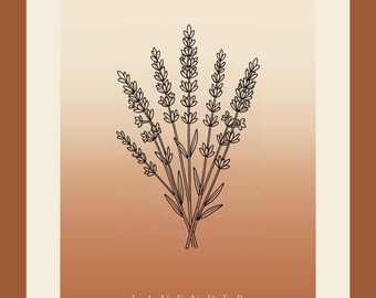Download instantâneo de imagem de lavanda, pôster Japandi, arte linear botânica, impressão artística em terracota, arte digital para parede.
