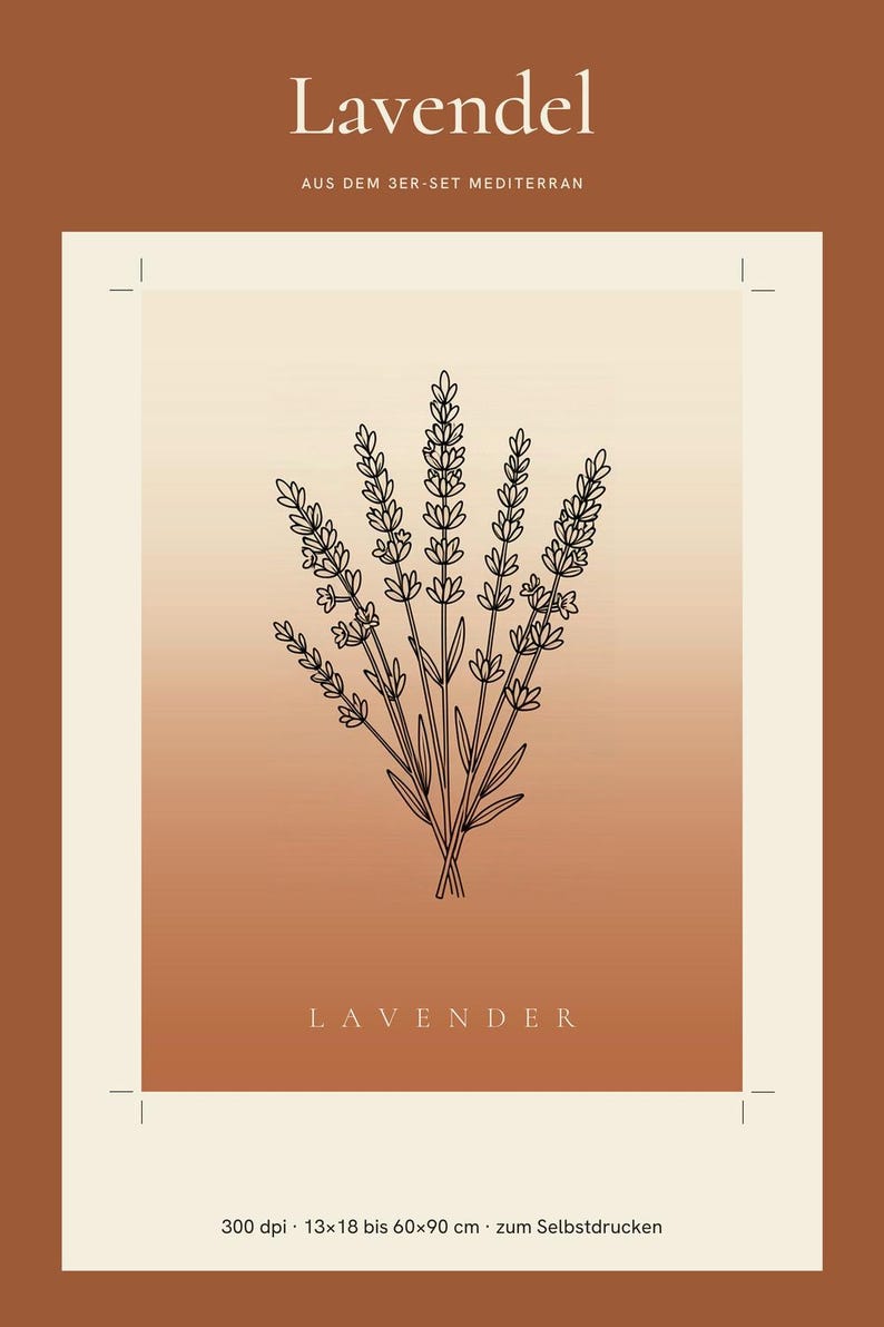 Lavendelafbeelding direct te downloaden, Japandi poster, botanische lijntekening, terracotta kunstprint, digitale muurdecoratie afbeelding 1