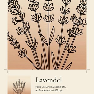 Lavendelafbeelding direct te downloaden, Japandi poster, botanische lijntekening, terracotta kunstprint, digitale muurdecoratie afbeelding 4