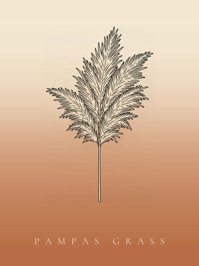Op de afbeelding: Een zwarte lijntekening van een stengel pampasgras met gevederde pluimen, gecentreerd op een gradi&euml;ntachtergrond die verloopt van lichtbeige naar warm terracotta-oranje, met de tekst PAMPAS GRASS onderaan de afbeelding weergegeven.