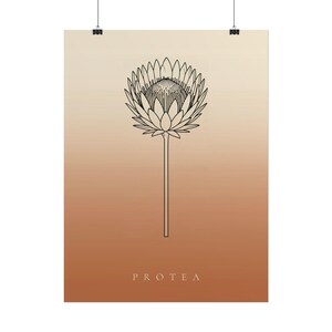 Pu&ograve; includere: Una stampa artistica da parete verticale con un disegno a linee nere di un singolo fiore di protea centrato su uno sfondo sfumato che passa da un crema chiaro in alto a un caldo arancione terracotta in basso con il testo PROTEA sotto.