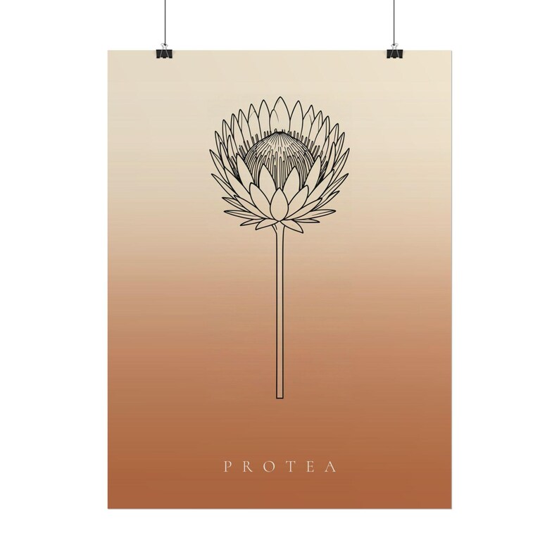 Pu&ograve; includere: Una stampa artistica da parete verticale con un disegno a linee nere di un singolo fiore di protea centrato su uno sfondo sfumato che passa da un crema chiaro in alto a un caldo arancione terracotta in basso con il testo PROTEA sotto.