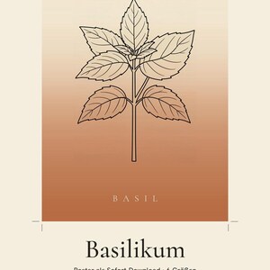 Basilikabild direktnedladdning, Japandi-affisch, botanisk linjekonst, terrakottakonsttryck, digital väggkonst bild 2