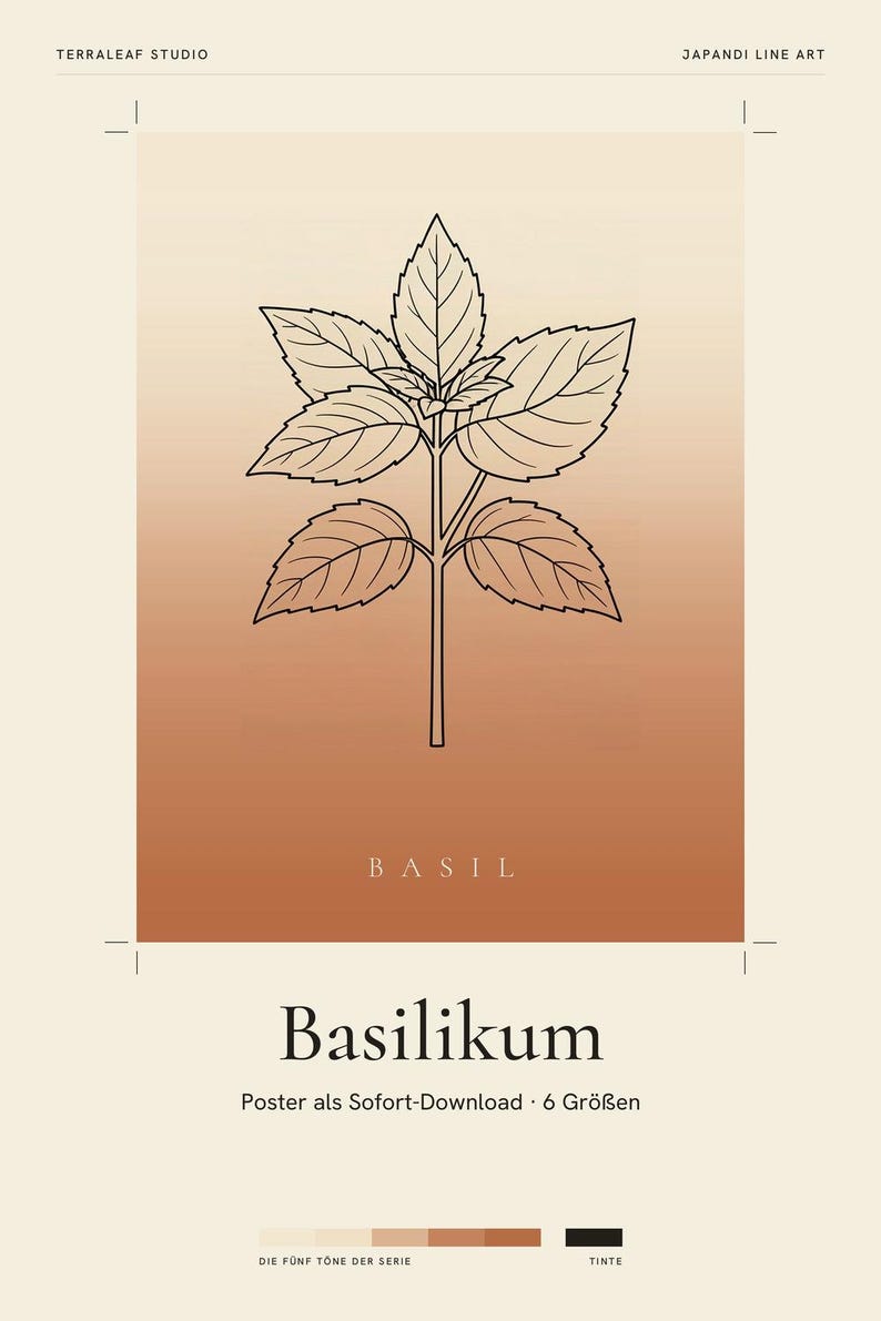 Basilikabild direktnedladdning, Japandi-affisch, botanisk linjekonst, terrakottakonsttryck, digital väggkonst bild 2