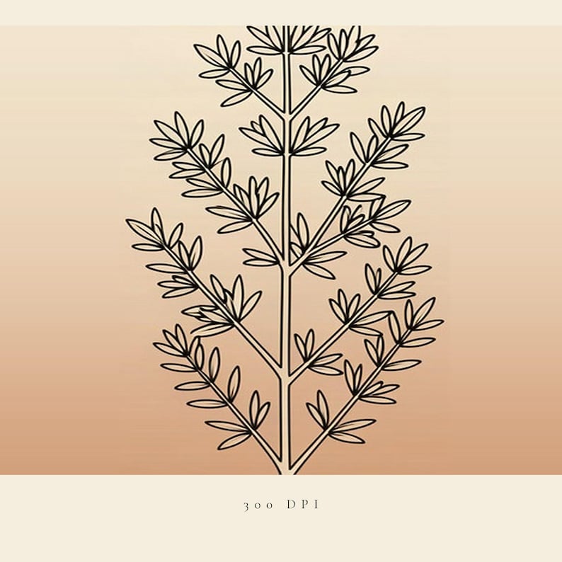 Op de afbeelding: Een digitale illustratie van een symmetrische plant met dunne zwarte lijntekeningen van takken en bladeren, gecentreerd op een gradi&euml;ntachtergrond die verloopt van lichtbeige naar een warme perziktint. De tekst 300 DPI staat onderaan in het midden.