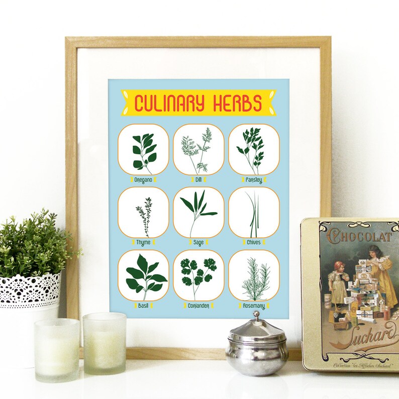 Culinary Herbs Kitchen Poster Art Print Culinary Herbs Etsy