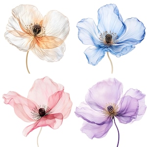 May include: Four translucent poppy flowers with delicate, thin petals in shades of peach, blue, pink, and purple. Each flower features a dark, textured central seed pod surrounded by fine stamens and a slender, light-colored stem against a white background.