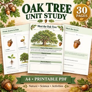 Puede incluir: Un conjunto de 30 páginas de estudio sobre el roble en formato PDF imprimible con hojas de trabajo educativas. Las páginas incluyen ilustraciones de bellotas, plántulas y robles maduros con títulos como Meet the Oak Tree y Meet the Acorn.