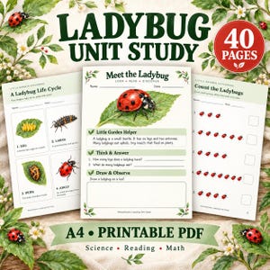 Puede incluir: Un cuaderno de actividades educativo de 40 páginas en formato PDF A4 imprimible sobre mariquitas. Las hojas incluyen ilustraciones del ciclo de vida, ejercicios de conteo y textos informativos titulados Meet the Ladybug.