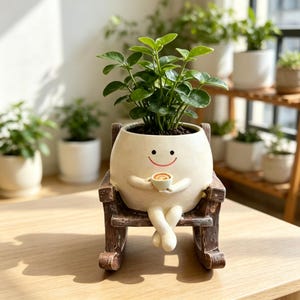 May include: A cream-colored ceramic planter shaped like a round character with a smiling face, holding a small coffee cup. The planter sits on a dark brown wooden rocking chair and contains a green leafy plant with dark soil.