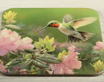 Floral Hummingbird Cork Backed Coaster - Pub Mats - Bird Lover - Home Bar Coasters - Beer Barware Pub Coasters - Pastel Pink and Green