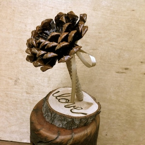 Rustic Wedding Decoration Guest Book Pen Pine Cone Wedding Fall Winter Weddings
