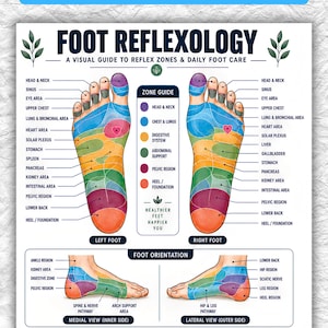 Op de afbeelding: Een voetreflexologiekaart met een visuele gids voor reflexzones en dagelijkse voetverzorging. De poster toont kleurgecodeerde diagrammen van de linker- en rechtervoet, mediale en laterale aanzichten, een zonegids en secties voor gebruik en verzorging.