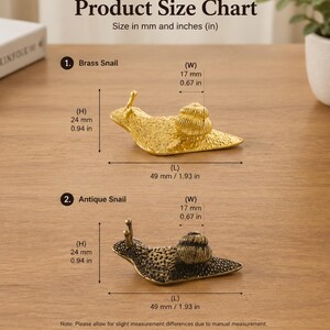 Unique Drawer Pulls, Brass Handle Knobs, Antique Snail Cabinet Hardware image 2