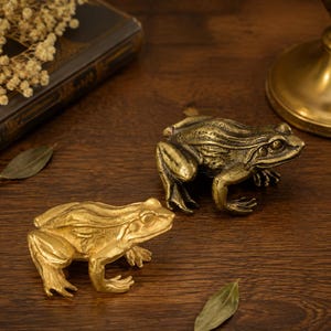 Brass Drawer Pulls, Cabinet Knob, Dresser Knob, Animal Drawer Knobs, Kitchen Knob, Furniture Knob, Cupboard Knob, Cabinet Hardware