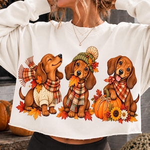 Puede incluir: Una sudadera de manga larga color crema con un gráfico de tres perros salchicha marrones. Los perros llevan bufandas de cuadros y accesorios otoñales, rodeados de hojas de arce naranjas, una calabaza y girasoles en la parte frontal.