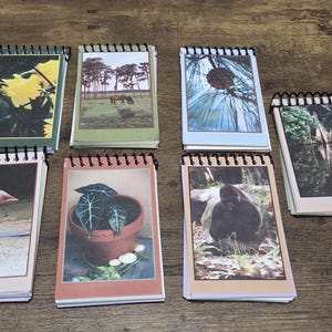 May include: Six rectangular spiral-bound notebooks arranged in two rows. Each notebook features a unique photographic cover image, including a yellow flower, a horse in a field, a pinecone, a pink flamingo, a potted plant, and a gorilla.