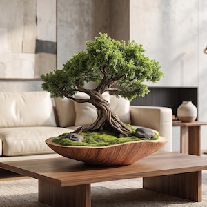 May include: A bonsai tree with a thick, textured brown trunk and vibrant green foliage, planted in a shallow, curved wooden bowl filled with green moss and two small grey stones, resting on a flat surface.