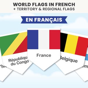 以下が含まれることがあります： フランス語で国名が記された世界の国旗のペナント型カードセット。テキストには「WORLD FLAGS IN FRENCH + TERRITORY & REGIONAL FLAGS」「EN FRANÇAIS」「Côte d'Ivoire」「République du Congo」「France」「Belgique」「Luxembourg」と記載されています。