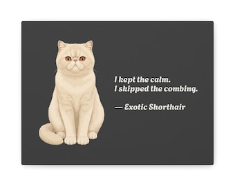 Leinwandbild mit Exotic Shorthair | Lustiges Katzen-Zitat als Wandbild | Geschenk für Exotic-Shorthair-Liebhaber