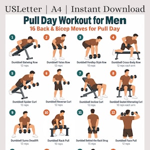 Könnte beinhalten: Ein digitales Trainingsdiagramm mit dem Titel Pull Day Workout for Men, 16 Back & Bicep Moves for Pull Day, mit 12 nummerierten Illustrationen von Hantelübungen, darunter Rudern, Curls und Schulterheben, in USLetter- und A4-Formaten.