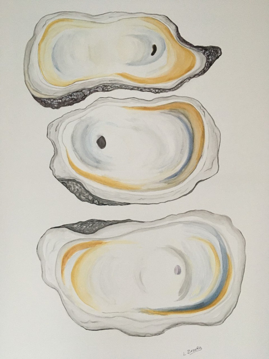 3 Oyster Shells Charleston New Orleans Outer Banks Savannah Etsy