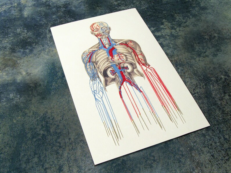 Anatomy Art. Embroidered Anatomical Art. Bleeding by Needles. Etsy