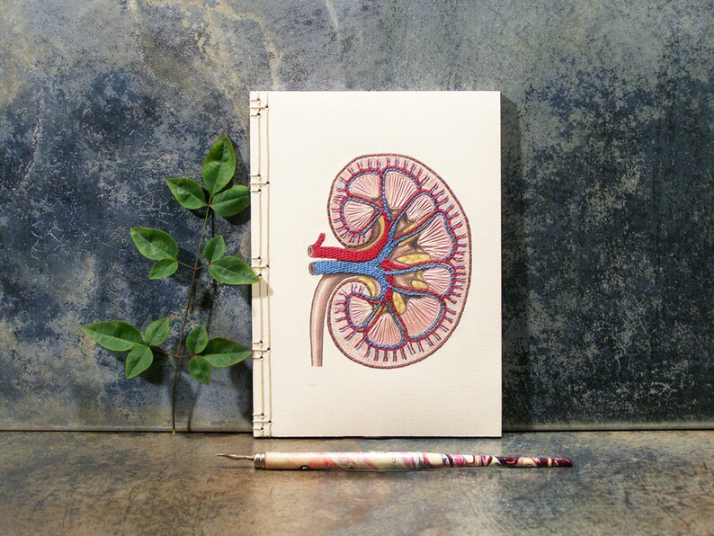 Kidney Anatomy Journal. Embroidered Notebook. Medical Art. Etsy