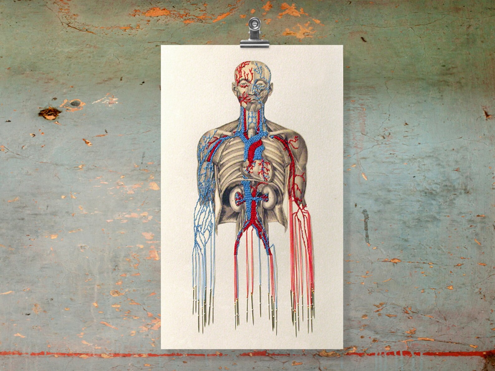 Anatomy Art. Embroidered Anatomical Art. Bleeding by Needles. Etsy