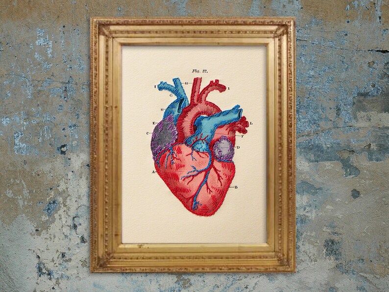 Heart Anatomy Art. Embroidered Anatomical Heart. Medical Art. Etsy UK