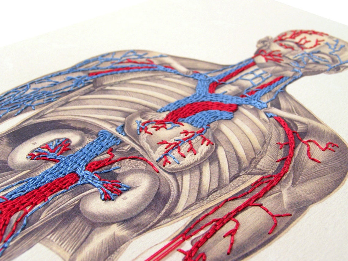 Anatomy Art. Embroidered Anatomical Art. Bleeding by Needles. Etsy