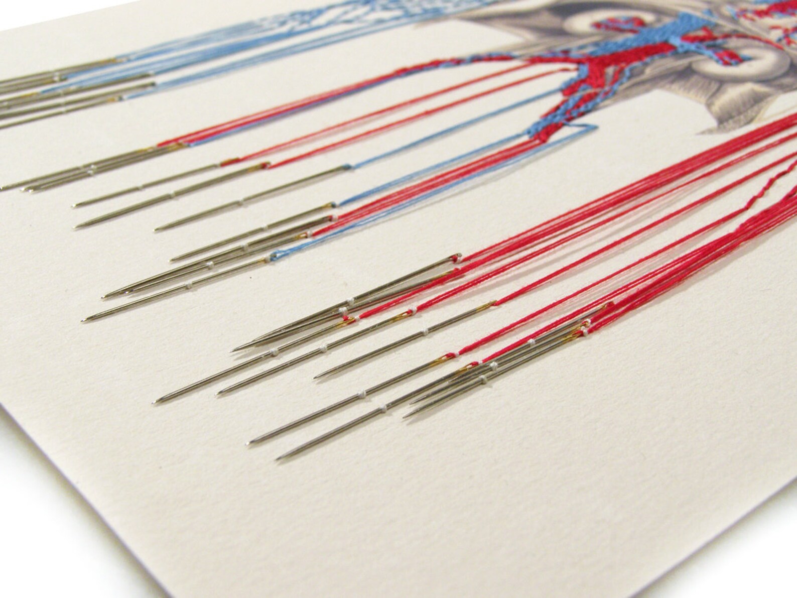 Anatomy Art. Embroidered Anatomical Art. Bleeding by Needles. Etsy