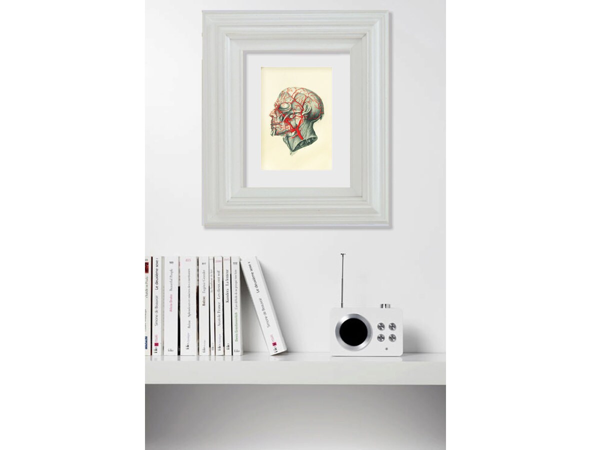 Anatomy Art. Embroidered Anatomical Home Decor. Blood Etsy