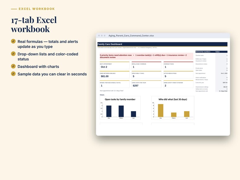 May include: A 17-tab Excel workbook digital file featuring a Family Care Dashboard. The interface displays real formulas, drop-down lists, color-coded status indicators, and charts. Text includes '17-tab Excel workbook', 'Family Care Dashboard', and 'Open tasks by family member'.
