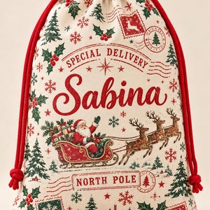 May include: A cream-coloured drawstring gift bag with red rope handles, featuring a festive print of Santa in a sleigh, reindeer, pine trees, and holly. The text reads SPECIAL DELIVERY, Sabina, and NORTH POLE in red lettering.