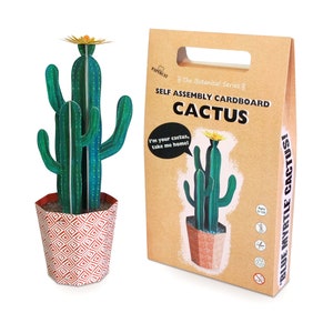 Kit de manualidades con cactus, planta de cartón, kit de cactus para hacer uno mismo, cactus mirto azul, regalo para el hogar
