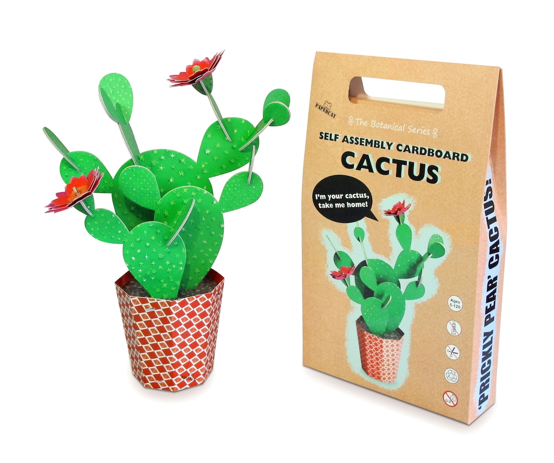 Cactus Craft Kit, Cardboard Plant, DIY Cactus Kit, Prickly Pear Cactus