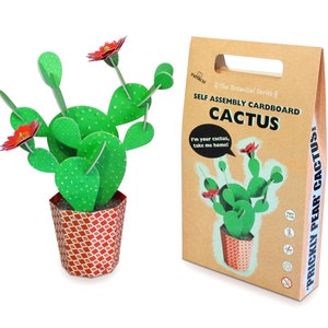 Kit de manualidades con cactus, planta de cartón, kit de cactus para hacer uno mismo, cactus de tuna, decoración del hogar