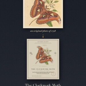 Pode incluir: Uma impress&atilde;o intitulada The Clockwork Moth com uma ilustra&ccedil;&atilde;o de uma mariposa castanha e laranja, o texto Letters Patent e uma placa original de 1798 acima. O design inclui diagramas t&eacute;cnicos e texto descritivo num fundo creme.