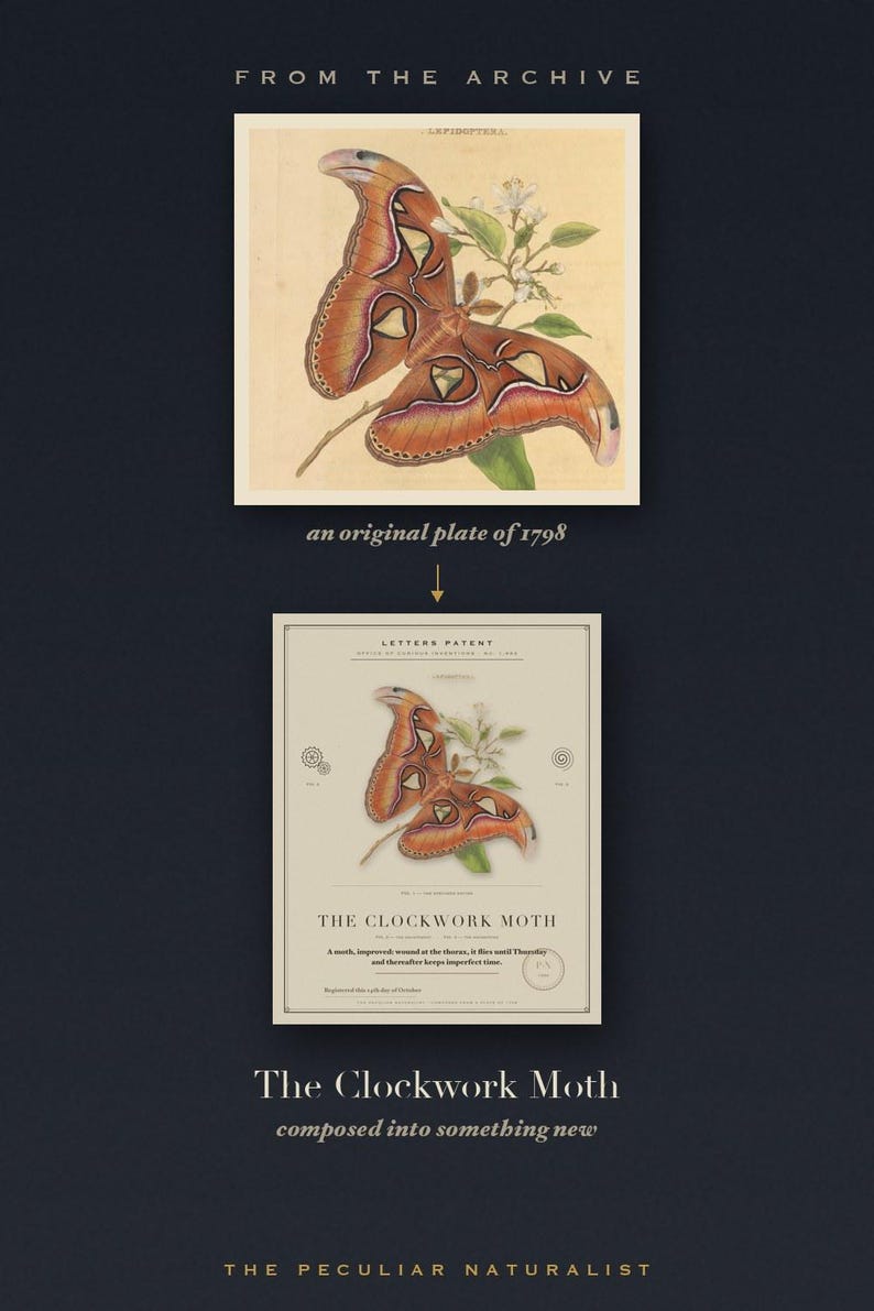 Pode incluir: Uma impress&atilde;o intitulada The Clockwork Moth com uma ilustra&ccedil;&atilde;o de uma mariposa castanha e laranja, o texto Letters Patent e uma placa original de 1798 acima. O design inclui diagramas t&eacute;cnicos e texto descritivo num fundo creme.