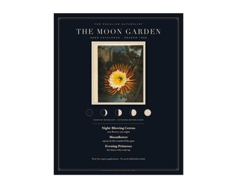Catálogo de Sementes para Jardim da Lua, Arte Botânica Celestial, Pôster de Flores Noturnas, Decoração Bruxa