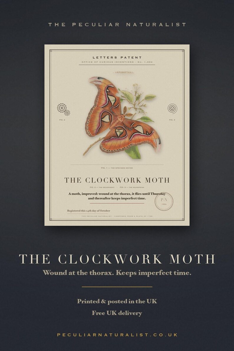 Pode incluir: Uma impress&atilde;o cor de creme intitulada The Clockwork Moth apresentando uma grande mariposa laranja e marrom com padr&otilde;es complexos nas asas, pequenas ilustra&ccedil;&otilde;es de engrenagens e espirais, e texto sobre uma mariposa que marca o tempo imperfeito.