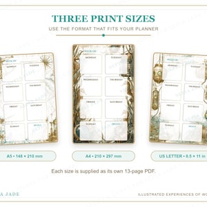 May include: Three weekly planner printables in A5 (148 x 210 mm), A4 (210 x 297 mm), and US Letter (8.5 x 11 in) sizes. Each page features a grid for days of the week with vintage nautical illustrations, including compasses and sea life.