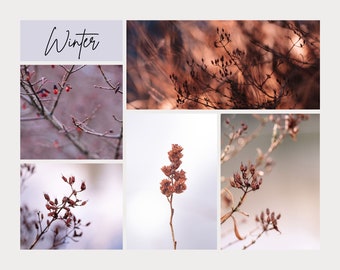 Winter Flowers Wall Art, Gallery wall, decor, flowers, nature photography, landscape, digital instant download, 5 High Res, printable