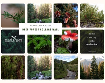 May include: A collage of images featuring a deep forest with lush green trees, a flowing stream, a red mushroom, and a quote about life being a journey, not a destination. The text "Just Breathe" is also included in the collage.