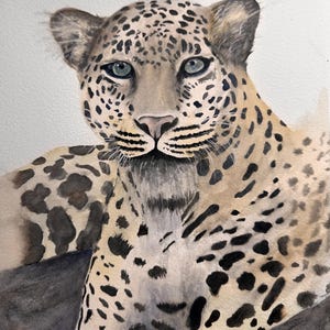 Leopardo sdraiato, grande felino, gatto, fauna selvatica, acquerello, originale