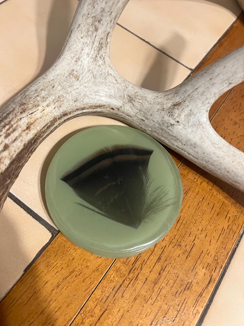 Op de afbeelding: Een ronde, saliegroene onderzetter of decoratieve schijf van hars met een enkele, donkergepunte veer in het midden. De veer heeft een opvallende zwarte band over de breedte en is ingebed in het gladde, ondoorzichtige groene oppervlak.