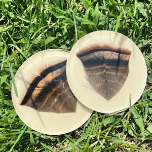 May include: Two circular coasters made of clear resin, each featuring a single brown and black striped turkey feather embedded within the center. The coasters have a smooth, flat surface and a transparent appearance, showcasing the natural feather pattern.